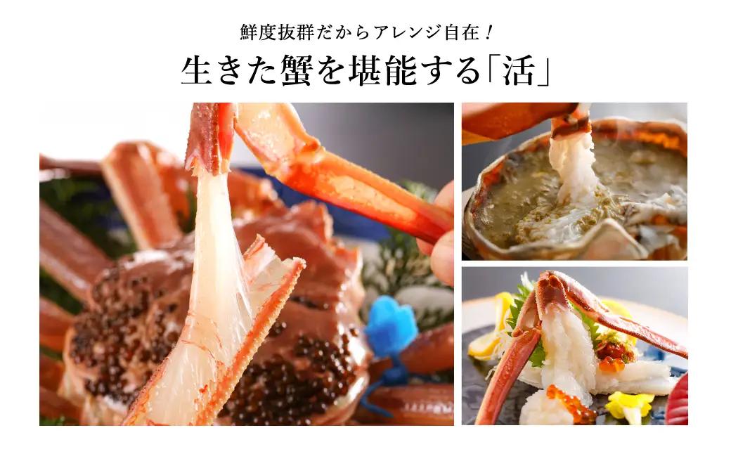 活松葉ガニ タグ付き 約1kg【湯楽使用】