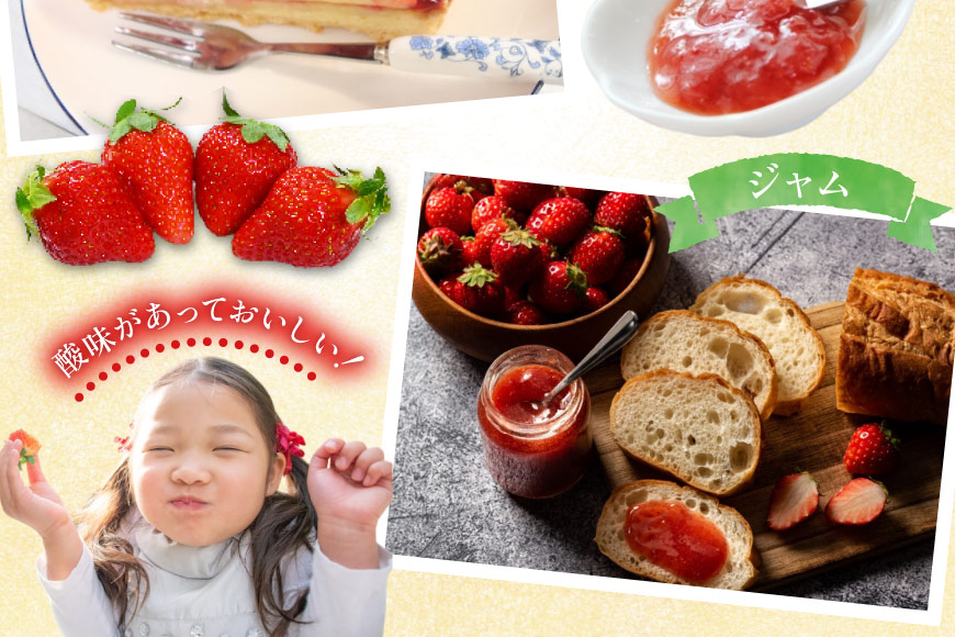 訳あり 冷凍 夏いちご すずあかね 約1kg [水山養殖場 宮城県 気仙沼市 20564004] 果物 イチゴ いちご 苺 簡易包装 フルーツ