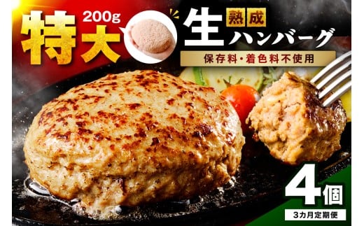 【無添加】食べ応え抜群！ 生ハンバーグ 200g 4個 3ヶ月定期便【087C-012】
