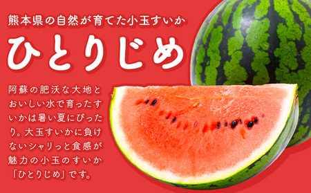 【先行予約】スイカ 訳あり 小玉すいか 2玉 約 2kg ～ 3kg M ～ 3L 混合 株式会社Foody’s 食彩たかみ 《2027年5月下旬-7月下旬頃出荷》 熊本県 菊池市 フルーツ 果物 ス
