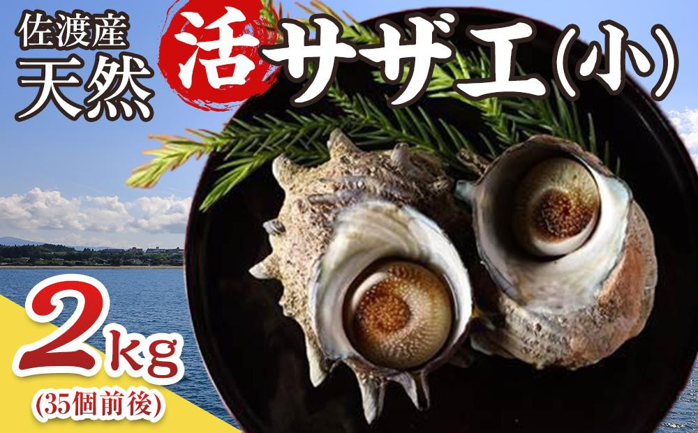 
佐渡産　天然活サザエ 2kg 小（35個前後）
