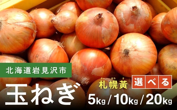 
                  ＜内容量が選べる＞ 【先行予約】幻の玉ねぎ！札幌黄（さっぽろき）5kg / 10kg / 20kg たまねぎ 玉葱 タマネギ 国産 まとめ買い 業務用 贈り物 野菜 美味しい 送料無料 新鮮野菜 健康 和食 レストラン 国産野菜 採れたて 農家直送 産地直送 北海道 岩見沢市
                