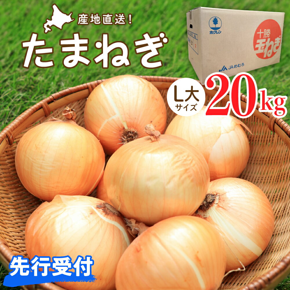 【ふるさと納税】【2025年産先行受付】【10月上旬より発送】 たまねぎ 20kg Lサイズ 先行予約 玉ねぎ 期間限定 玉葱 タマネギ 野菜 長期保存 北海道産 オニオン オニオンスープ カレー 焼肉 産地直送 送料無料 お取り寄せグルメ 北海道 十勝 芽室町