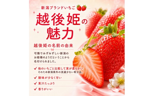 【先行予約｜2027年1月採れ次第出荷開始】いちご 大粒 カラダよろこぶ 越後姫 約400g×1パック (9～15粒入り) 定植後化学農薬不使用 イチゴ 苺 渡辺農園 上越市 新潟県