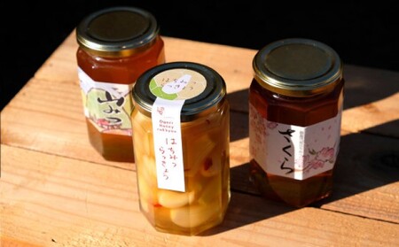 はちみつ らっきょう セット 国産 天然 純はちみつ 370g×2本 やまみつ＆さくら、はちみつらっきょう 300g ハニーベル 