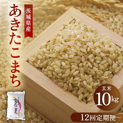 ふるさと納税 かすみがうら市 【毎月定期便】こだわりのあきたこまち 玄米10kg | 茨城県かすみがうら市全12回
