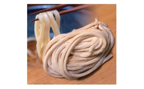 へじや製麺のうどん生麺10食セット 細麺タイプ　ぶっかけ(温)用特製だしつゆ付【1637098】