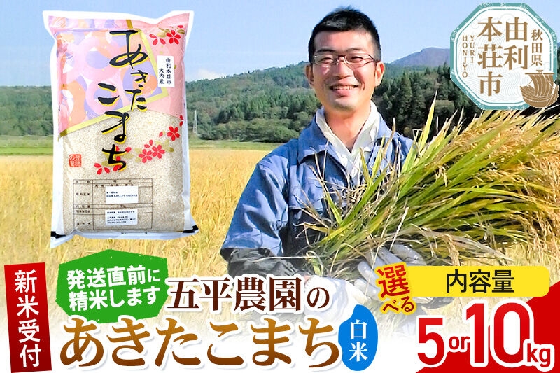 
                  《令和8年産 新米受付》【白米】あきたこまち【選べる容量 5kg／10kg】秋田県産 五平農園の あきたこまち 《12月上旬～12月下旬発送予定》 [あきたこまち 新米受付 米 お米 こめ 白米 精米 ブランド米 食卓 おにぎり 秋田県産 秋田県 由利本荘市]
                