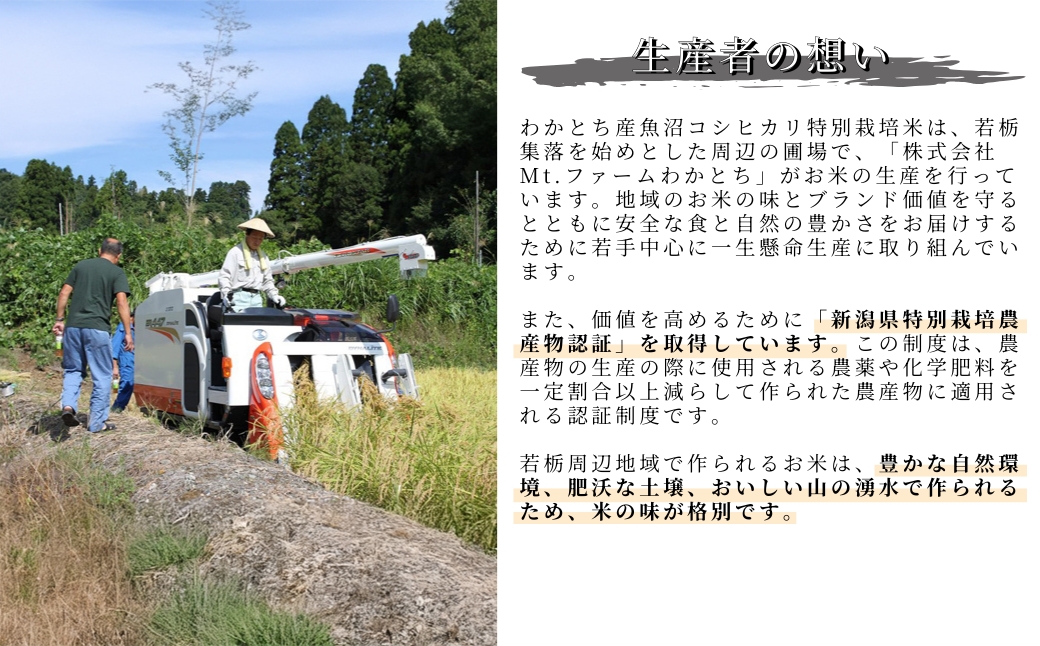 【令和7年産 定期便】【毎月お届け】わかとち産 魚沼コシヒカリ 特別栽培 棚田米 5kg×6回 白米 精米  先行予約 新潟県産 コシヒカリ
