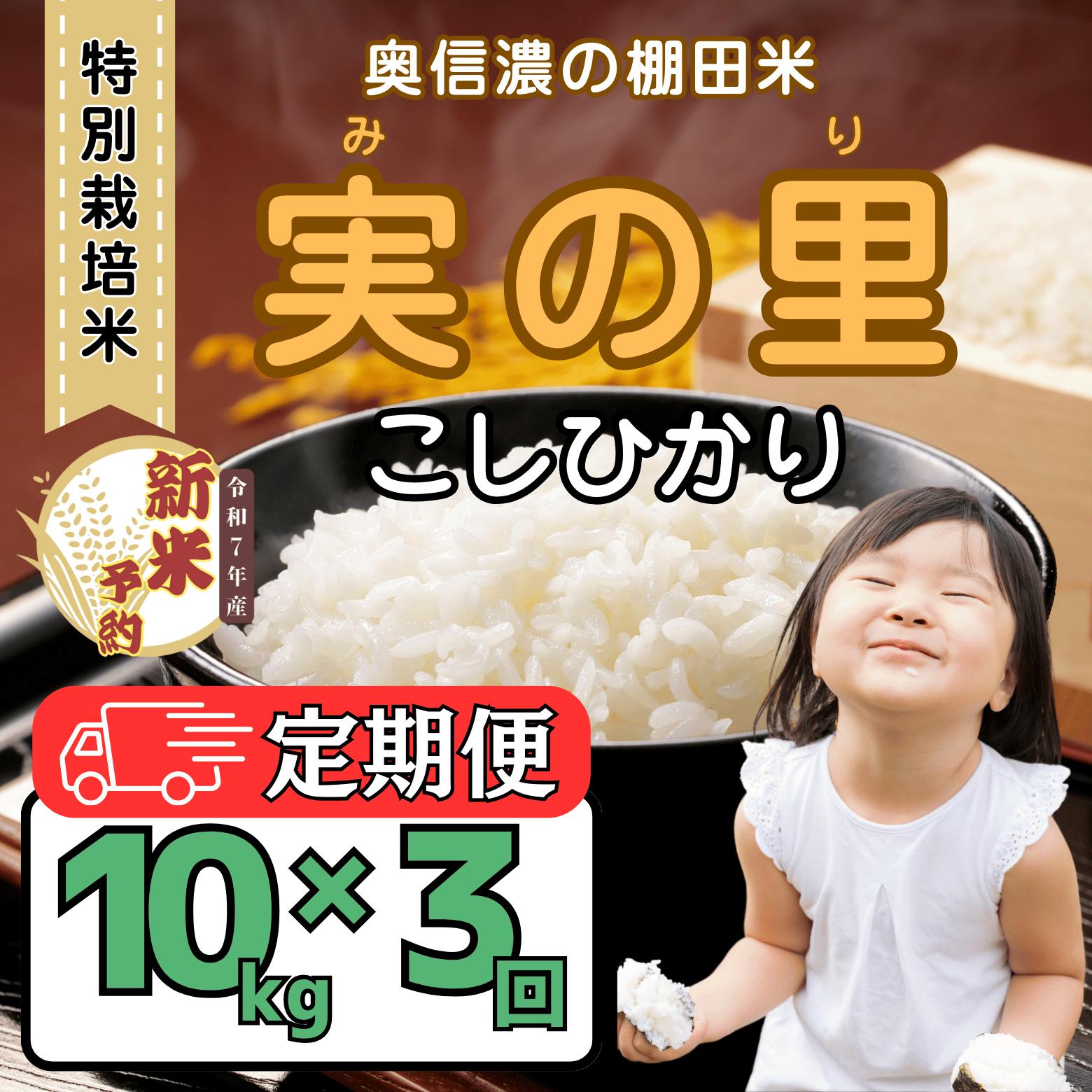 【先行予約】【定期便】<令和７年産新米> 特別栽培米 『奥信濃の棚田米 実の里』 こしひかり 精米 10kg×3回 (7-26A)