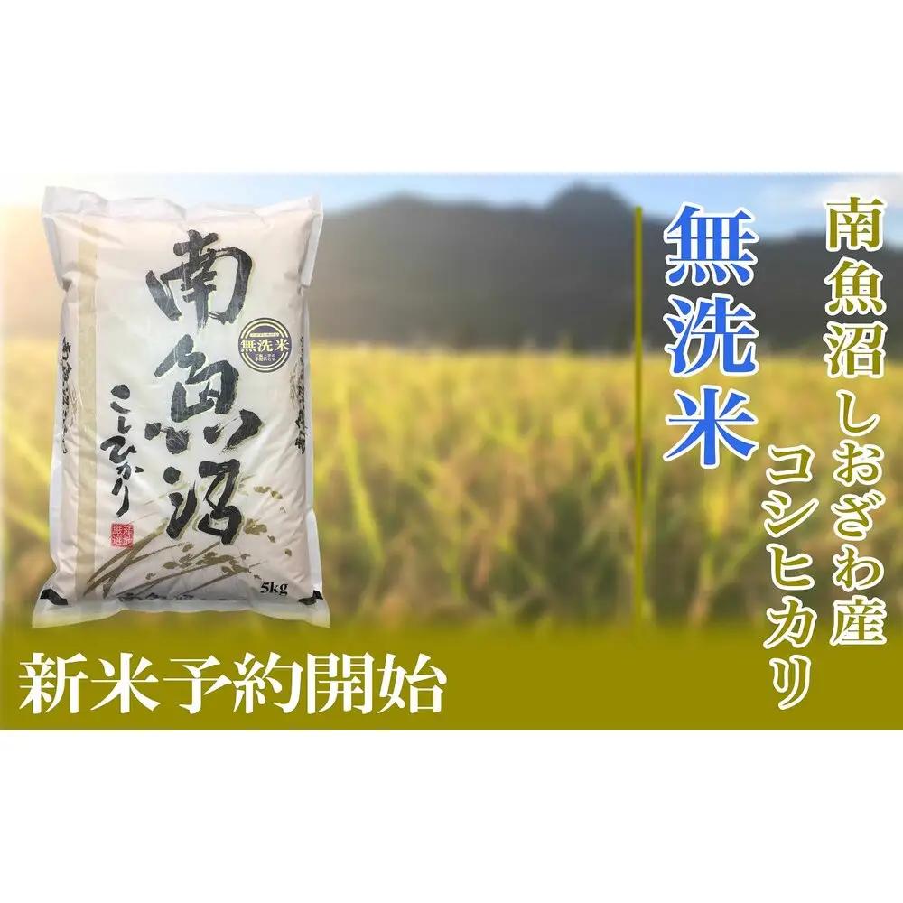 【令和8年産　新米予約】定期便３ヶ月【無洗米】10kg南魚沼しおざわ産コシヒカリ【定期便 銘柄米 ブランド米 無洗米 こしひかり コシヒカリ 魚沼産 新潟米 ごはん】【2026年10月上旬から1ヶ月以内に順次発送予定】
