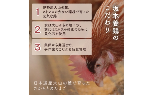 [特別定期便全12回] たまご 2回目以降はお好きなタイミングでお届け！ 坂本養鶏 大山の麓で育ったさかもとのたまご 合計360個 (30個×12回)｜伊勢原市 赤玉卵 玉子 鶏卵 生卵 国産 TKG