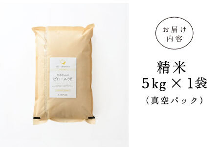 【令和7年産】ピロール農法 コシヒカリ精米5kg  真空パック　お米 ごはん