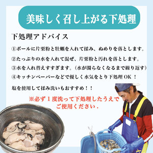 訳あり 牡蠣 むき身 1kg 【 牡蠣 】 500g×2袋 (加熱用) 数量限定 期間限定 先行予約 大船渡