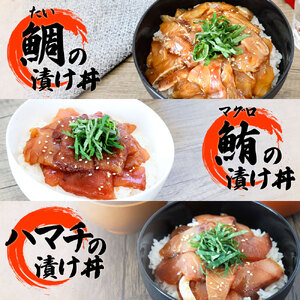 【ふるなび限定】数量限定 これが魚屋の漬け丼だ！海鮮5種食べ比べセット《訳あり》5種×2P+イカの漬け丼1P 合計11パック 各80g マグロ ハマチ 鯛 カンパチ ブリ いか 詰め合わせ 漬け丼 個