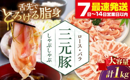 三元豚 しゃぶしゃぶ セット 計 1kg ( ロース・バラ )  だし・昆布ナシ 《喜茂別町》【平田牧場】 肉 豚肉 ロース バラ ロース肉 バラ肉 しゃぶしゃぶ 鍋 お鍋 冷凍配送[AJAP179]