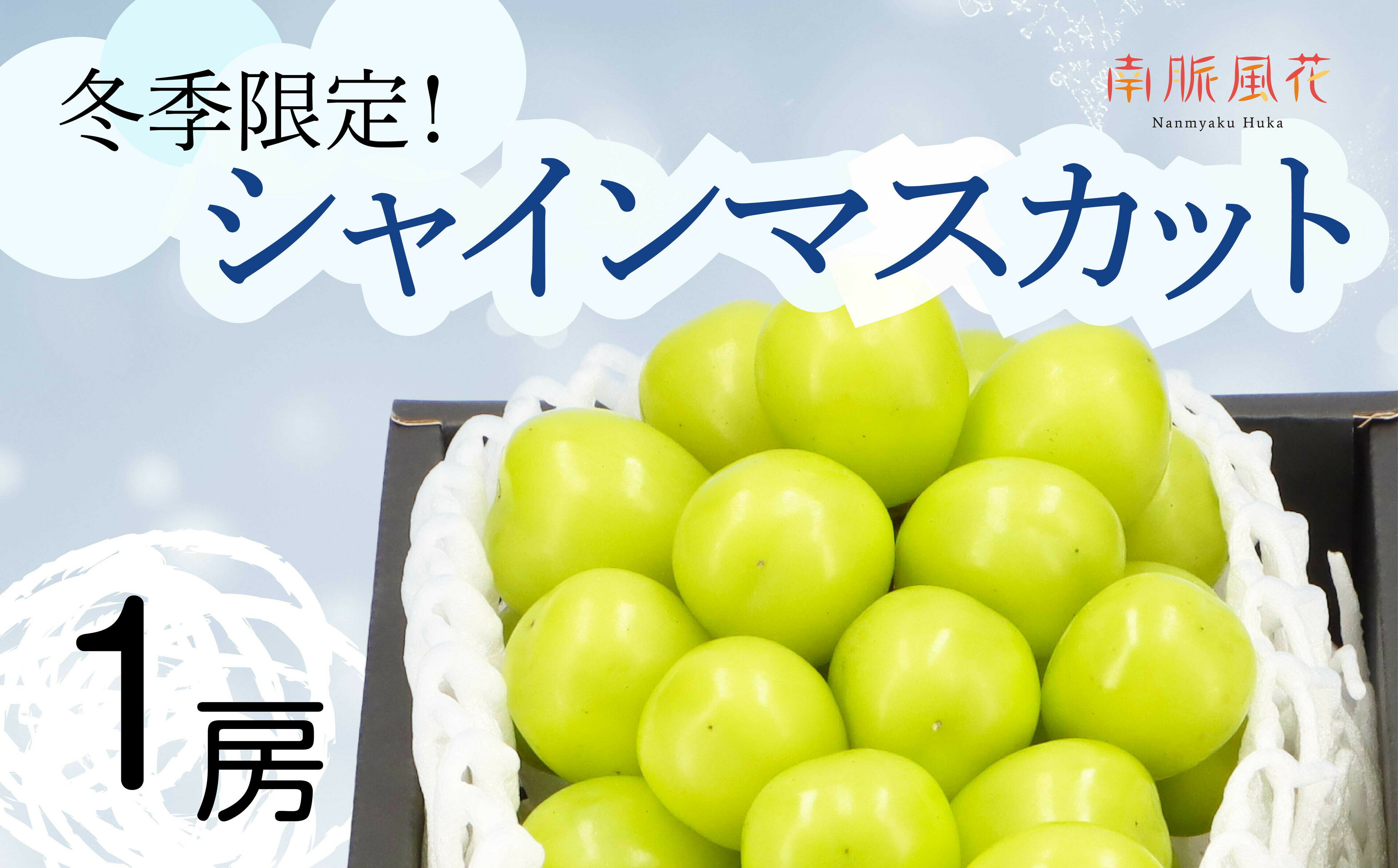【ふるさと納税】＜2026年発送分先行予約＞冬に食べる　シャインマスカット1房（約500〜600g） ALPAJ011