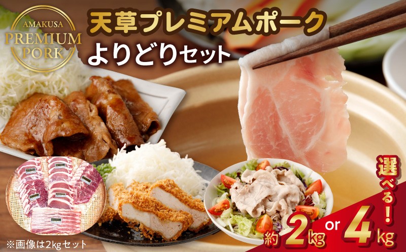 
            S058-019-sku_天草プレミアムポーク よりどりセット
          