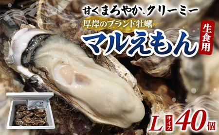 厚岸産牡蠣 Lサイズ 40個 マルえもん 生食用 牡蠣