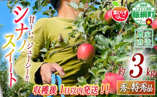 【 フレッシュ便 / 採れたて発送 】 りんご 葉とらず シナノスイート 秀 〜 特秀 3kg フレッシュフルーツミカズキ 2026年10月中旬頃から2026年10月下旬頃まで順次発送予定 令和8年度収穫分 信州 果物 フルーツ リンゴ 林檎 長野 予約 農家直送 長野県 飯綱町 [1653]