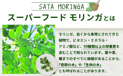 【モリンガパウダー】75g(25g×3袋)「本土最南端からのおくりもの」IK-704