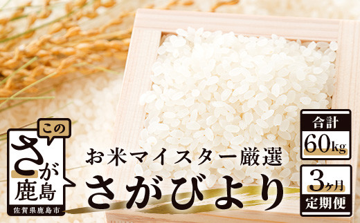 《3ヶ月 毎月お届け》 佐賀県産 さがびより 白米 20kg 定期便 J-10