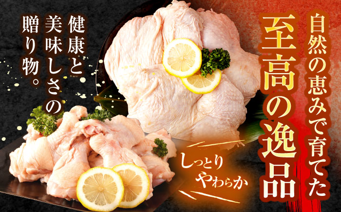 【12回定期便】【長崎県産】長崎夢みどり(鶏もも肉1kg×2P、手羽元1kg×2P・4kgセット) / モモ肉 もも肉 手羽 手羽元 鶏肉 / 諫早市 / 西日本フード株式会社 [AHAV018]