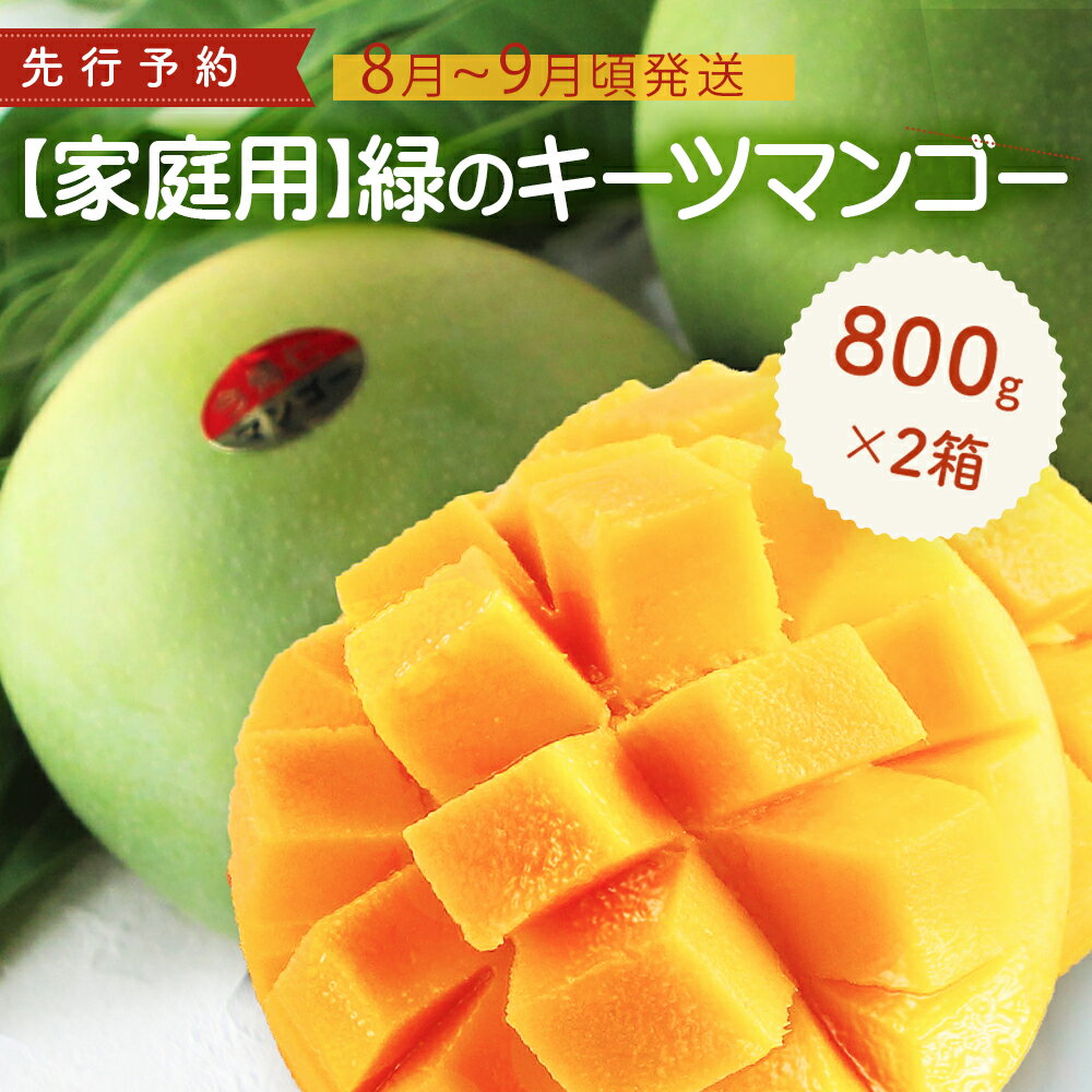【ふるさと納税】【家庭用】緑のキーツマンゴー800g以上×2箱【2025年8月～9月頃発送】