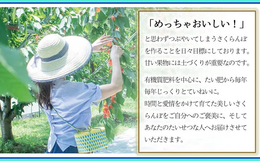 さくらんぼ 佐藤錦 バラ詰め L～2Lサイズ 1kg(500g×2) 山形県鶴岡市産 令和9年産 フルーツガーデン