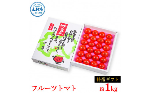 フルーツトマト特選ギフト約1kg トマト フルーツトマト 池トマト 糖度10度以上 高糖度 高知県産 ギフト 箱入り 贈答用 贈り物 健康 美味しい ふるーつとまと お取り寄せグルメ