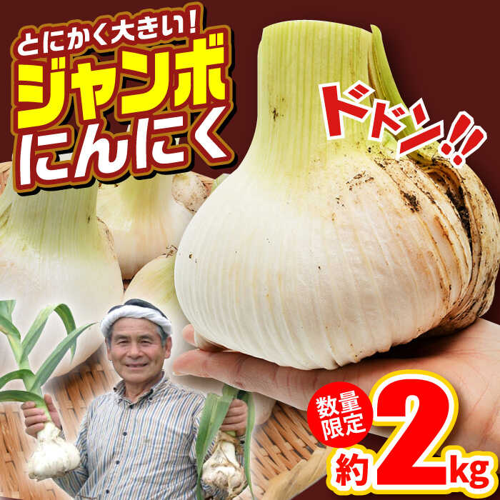 【ふるさと納税】【先行予約】【安心安全！ホクホク食感】エレファントガーリック 【約2kg】平戸市 / しげさん農園 [KAA316]