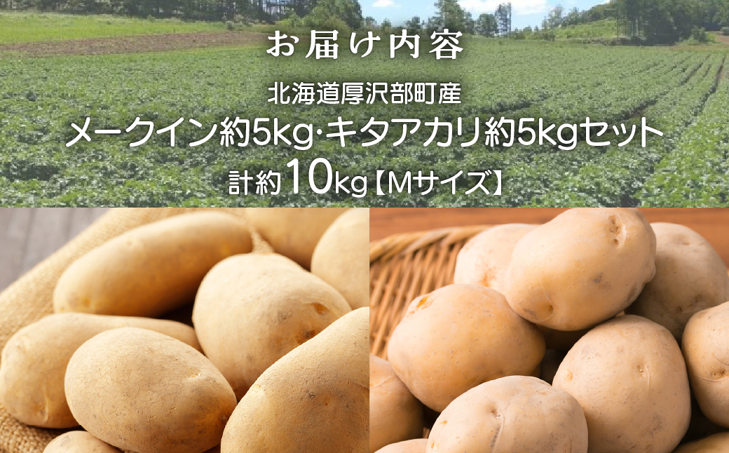 【2026年9月下旬より発送】北海道厚沢部町産 メークイン約5kg・キタアカリ約5kgセット 計約10kg【Mサイズ】 ASO015