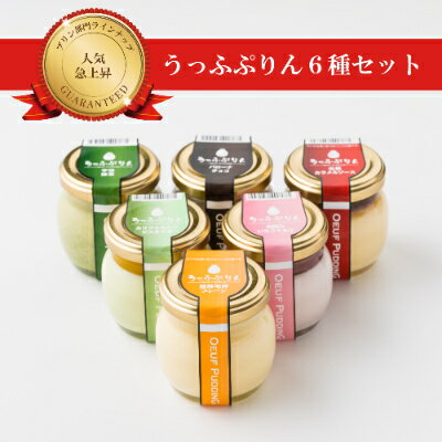 【ふるさと納税】うっふぷりん6種セット　12個入【配送不可地域：離島】【1259527】