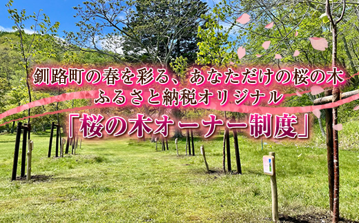 北海道釧路町の桜の木(1本)のオーナー権及びオーナー証＜植樹開催＆プレートお届け時期：2025年5月ごろ＞ ふるさと納税 桜 さくら 自然 保護 植樹体験 体験 北海道 先行予約 結婚 誕生 就職 退職 記念 想い出