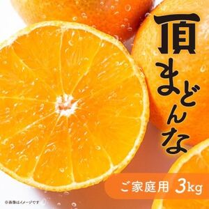 紅まどんなと同じ品種《頂まどんな》ご家庭用 3kg 【C31-22】_美味しいみかん 美味しいミカン おいしいみかん おいしいミカン 人気のみかん 人気のミカン 国産みかん 国産ミカン 八幡浜みかん 八幡浜ミカン 甘いみかん 甘いミカン あまいみかん アマイミカン 果物みかん くだものみかん 果物ミカン クダモノミカン 美味しいまどんな 美味しいマドンナ おいしいまどんな おいしいマドンナ 人気のまどんな 人気のマドンナ 国産まどんな 国産マドンナ 八幡浜まどんな 八幡浜マドンナ 甘いまどんな 甘いマドンナ