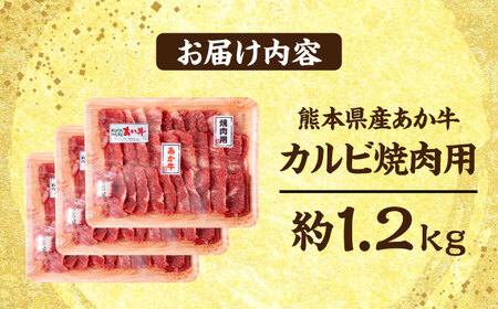 熊本 あか牛 カルビ 焼肉用 約1.2kg【合同会社 たべたせいか】[AYCB052]