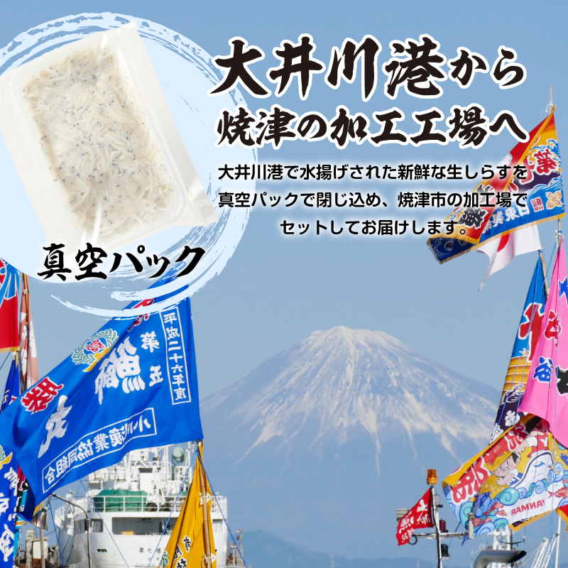 a10-1266　静岡県産お刺身用生しらす：100g×6パック　合計600g