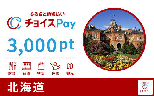 
北海道チョイスPay 3,000pt（1pt＝1円）【会員限定のお礼の品】
