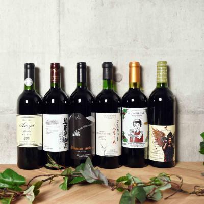 ふるさと納税 甲州市 【品種別】飲み比べ　赤ワイン6本(H-610)