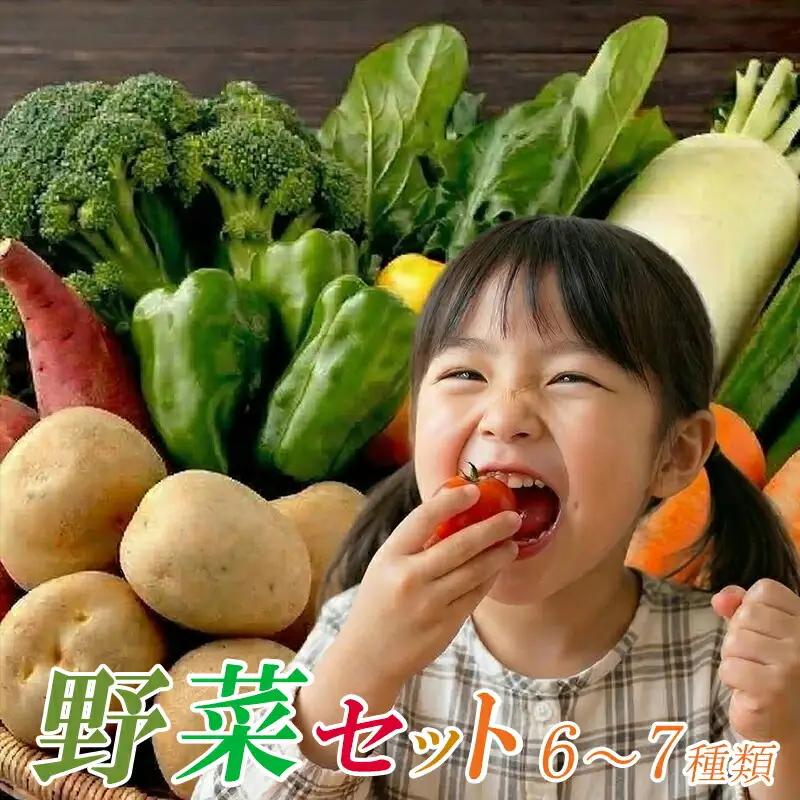 【 安芸野菜 】 野菜 6～7種類 詰め合わせ 安芸野菜