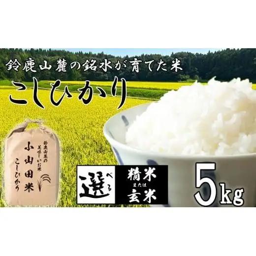 こしひかり 5kg 鈴鹿山麓の銘水が育てた米、米どころ三重県産小山田地区「こしひかり（精米）」5kg 小山田米