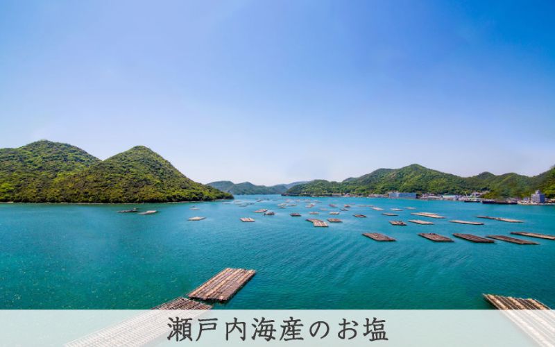 国産はちみつ梅 無添加 梅干し 訳あり つぶれ梅 低塩6% 1kg(500g×2パック) 化学調味料 無添加食品  【baiko001A】