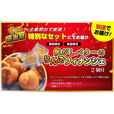 ふるさと納税 幸田町 【期間限定 幸田町大感謝祭】エアウィーヴ ピロー　 ソフト |  | 02