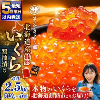 ふるさと納税 釧路市 【5営業日以内発送】北海道産 いくら (鮭) 500g×5箱 2.5kg