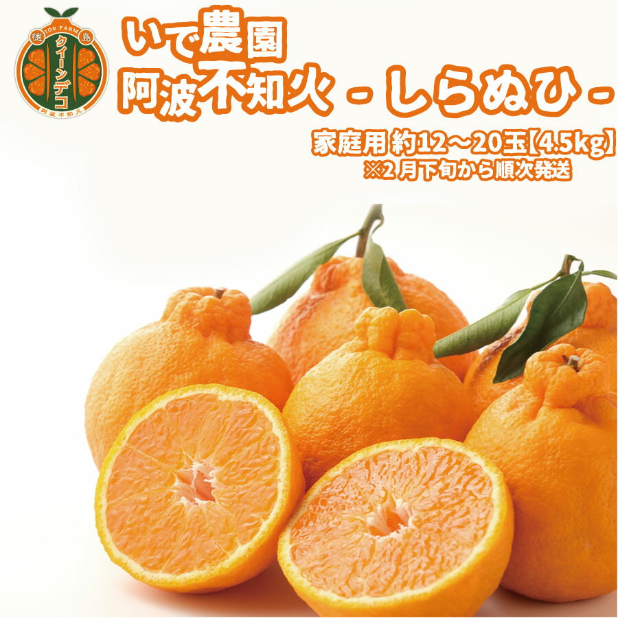 【ふるさと納税】井出農園 家庭用 阿波不知火 約12～20玉 4.5kg