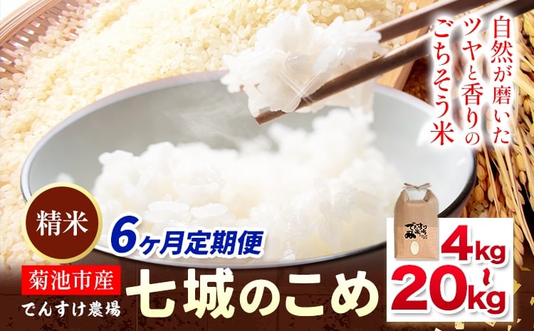 
                  【6ヶ月定期便】令和7年産 精米 七城のこめ 選べる内容量 4kg 5kg 6kg 8kg 10kg 15kg 20kg《お申込み翌月から出荷》熊本県 菊池市 米 白米 ヒノヒカリ でんすけ農場
                