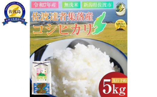 【先行予約】【新潟県佐渡】達者集落産コシヒカリ＜数量限定・生産地域限定＞ 令和７年産 精米【無洗米】5kg 送料無料