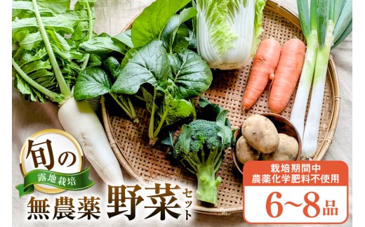 野菜 旬 ココニコ おまかせ 野菜セット 6～8品 [ココニコヒロバ 愛知県 江南市 ko23btu710000] セット 詰め合わせ 季節野菜 国産 季節の野菜 野菜詰め合わせ 葉野菜 根菜