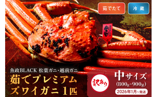 2026年1月～発送＜平日着>訳あり【蟹の匠 魚政】茹で　プレミアムズワイガニ 魚政BLACK（松葉ガニ・越前ガニ） 中サイズ（800～900g） 1匹 【2026年1月～発送：平日】＜冷蔵＞ 松葉がに 松葉蟹 越前蟹 ズワイガニ 姿 ボイル ゆで 越前かに わけあり　UO01313