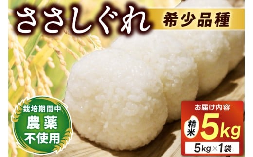 ＼新米 10月下旬発送開始予定／ ★令和7年産★ 新米 ささしぐれ 5kg（精米）ふるさと納税 米 岩手県 (DE006)